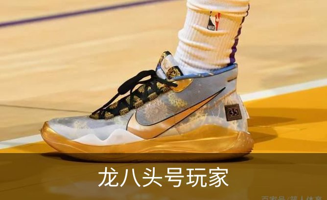 龙八头号玩家介绍